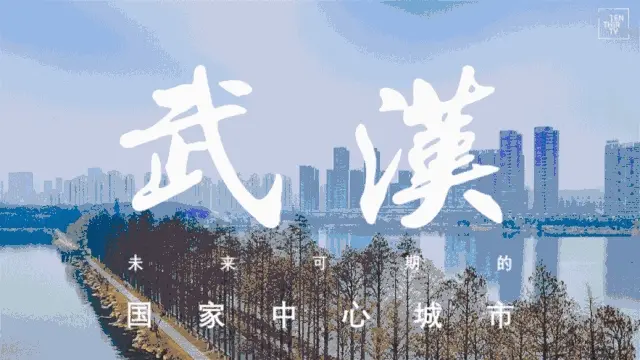 ansys白底截图